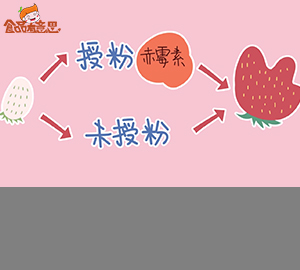 畸形草莓是膨大剂催的吗？能不能吃？