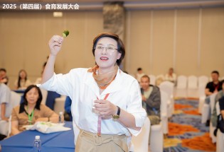 参观游学