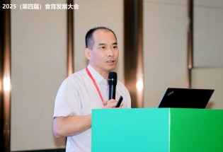 主题发言